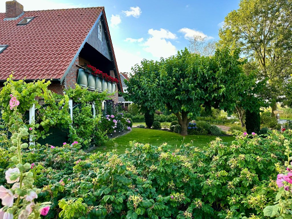 Trabbi-Haus Gartenansicht